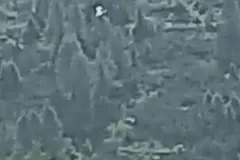 IMG-20240715-WA0020