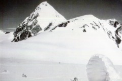 IMG-20250411-WA0023
