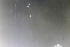 IMG-20250411-WA0027